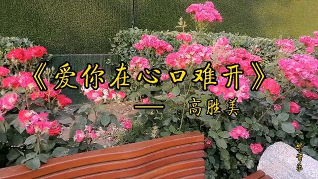 《爱你在心口难开》—高胜美