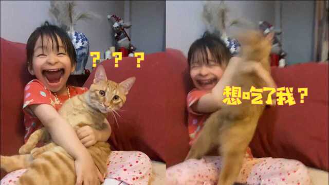 “想吃了我”?萌娃拍视频开大嘴特效,猫咪见后脸色骤变差点整疯