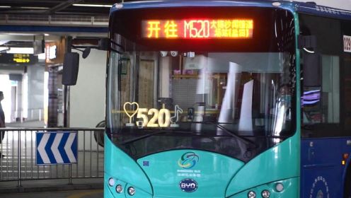 公交车上过节！深圳M520公交车换浪漫装扮，打卡有惊喜