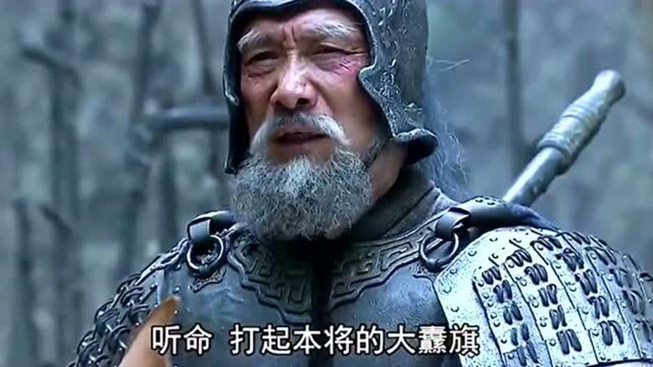 黄忠笑声太魔性了,来看看黄哈哈的笑声合集,戎马一生哈哈一生!