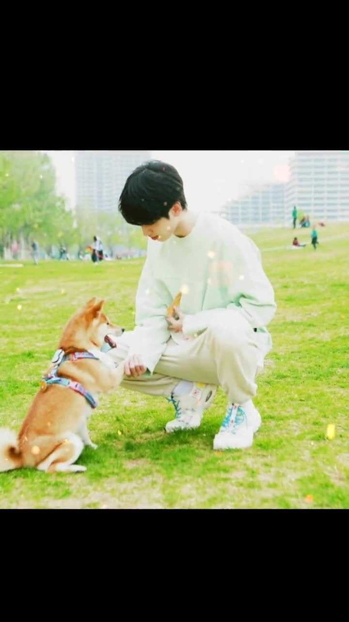 严浩翔真是个严格的训狗师草坪上和狗狗玩耍的严浩翔太治愈了