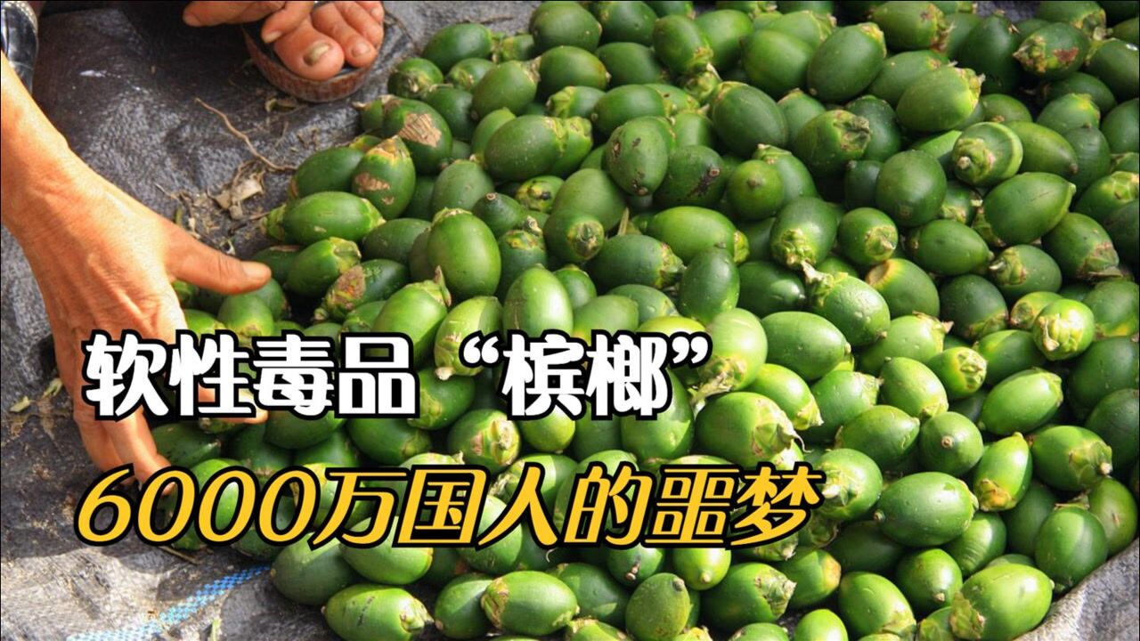 吃槟榔为什么会上瘾?槟榔为何是6000万国人的噩梦?
