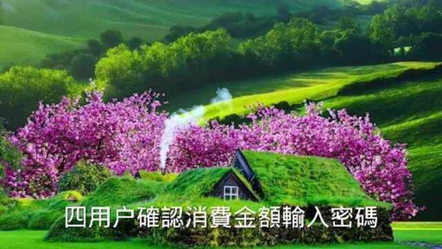 数字货币试点来了