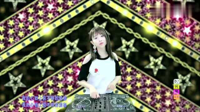 林秋风《爱成天涯》DJ何鹏版