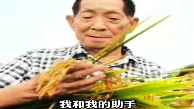 袁隆平当年接受采访,说梦见水稻比高粱还高