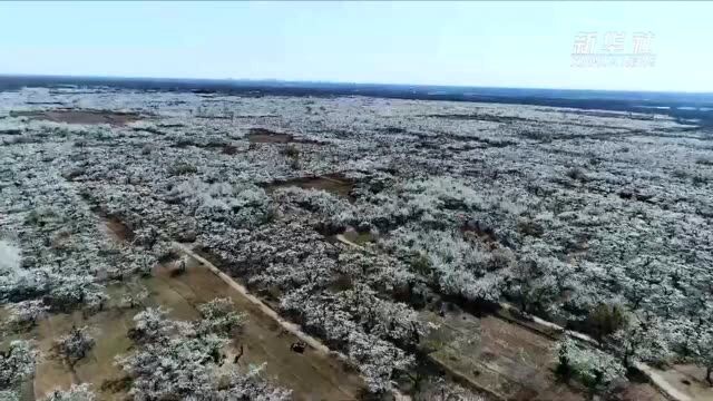 千城胜景丨河北曲阳