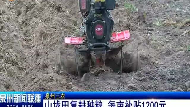 山垅田复耕种粮 每亩补贴1200元