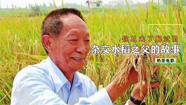 袁隆平院士逝世,关于杂交水稻之父的故事,这些你可能从未了解过