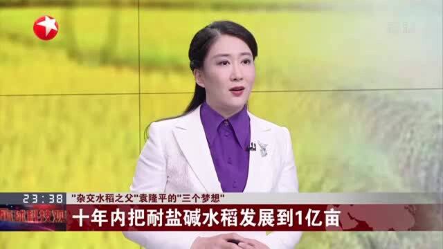 “杂交水稻之父”袁隆平的“三个梦想”:十年内把耐盐碱水稻发展到1亿亩