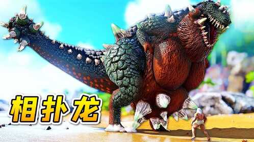 方舟53变形记:相扑龙见过吗?打起架来太搞笑了!