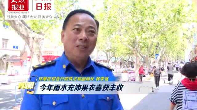 环翠区“鲜果地图”等你打卡!