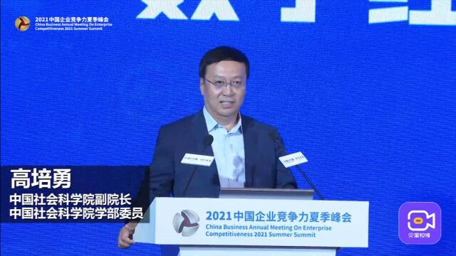 中国社会科学院副院长高培勇:数字经济才能真正地颠覆时代