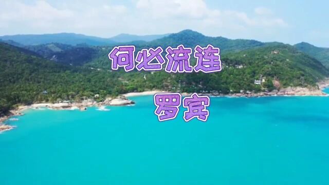 经典歌曲何必流连罗宾