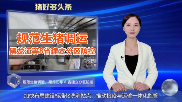 生猪调运再“加码”!河北、山西、黑龙江等 8 省建立分区防控