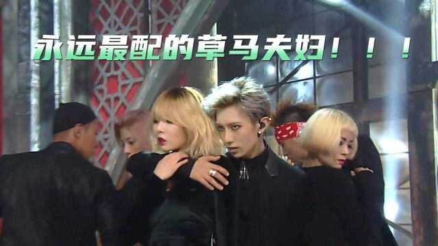 草马夫妇现场打歌合集,一曲《Trouble Maker》合体撩人