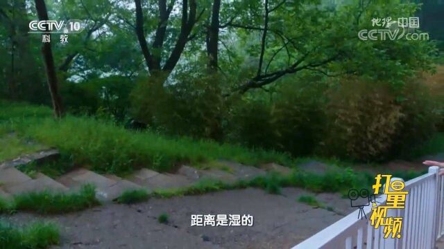 麦积山整体上凸下凹,山顶岩石如同屋檐用来阻隔雨水