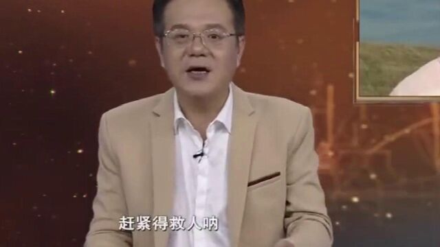 经典传奇:黑龙江现巨大金雕,竟毫不怕人,并向人类发起多次攻击