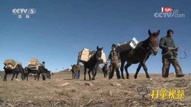 总台记者探访延庆赛区自动气象站