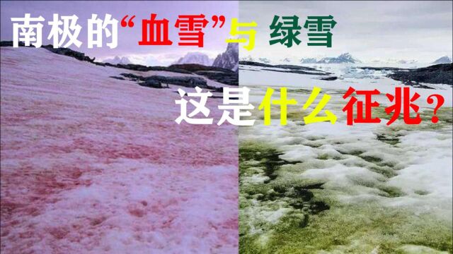 地球又出事?继“血雪”后,南极再出现“绿雪”,或不是好消息