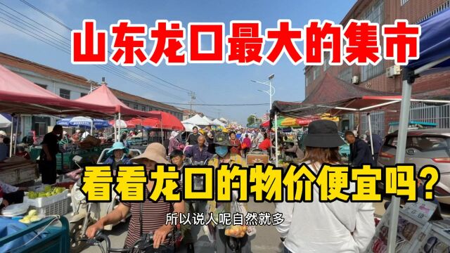 山东龙口最大的集市!龙口的物价便宜吗?适合养老度假吗?