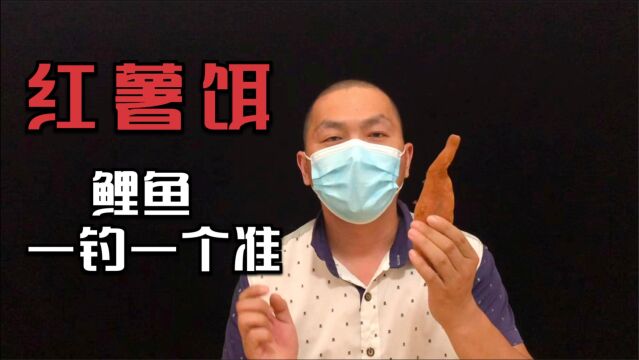 老渔翁酒后吐露:高温天钓鲤鱼,只用自制红薯饵,从未“空军”过