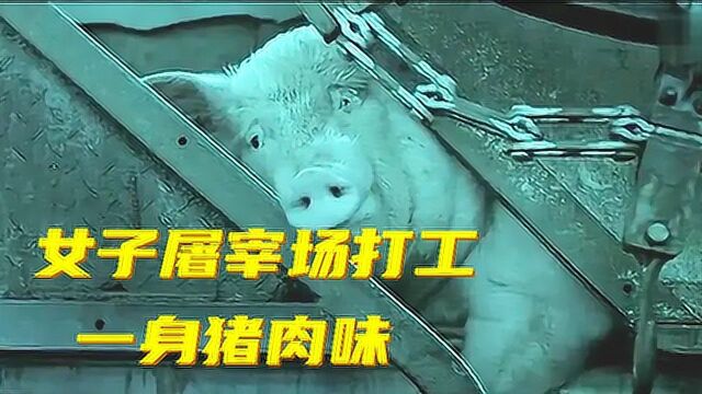 国产高分电影《猪肉与月亮》,女人在屠宰场工作,一身猪肉味