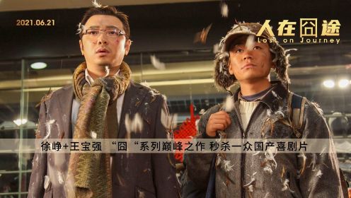 《人在囧途》：徐峥+王宝强 “囧“系列巅峰之作 秒杀一众国产喜剧片