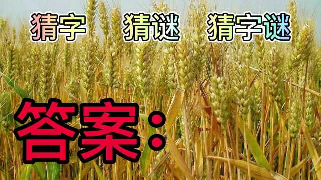 猜字谜,没有恒心一无所成,这是什么字?没有恒心做什么都不行?