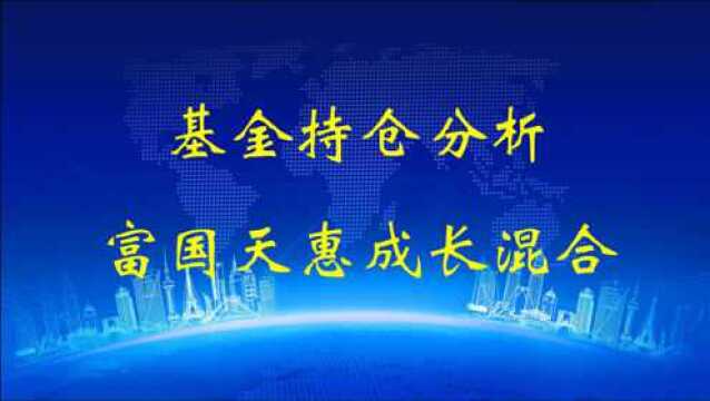 基金持仓分析之富国天惠成长混合