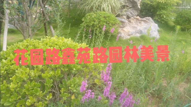 实拍花园路老客运北站,曾经的脏乱差,现在变成美丽公园