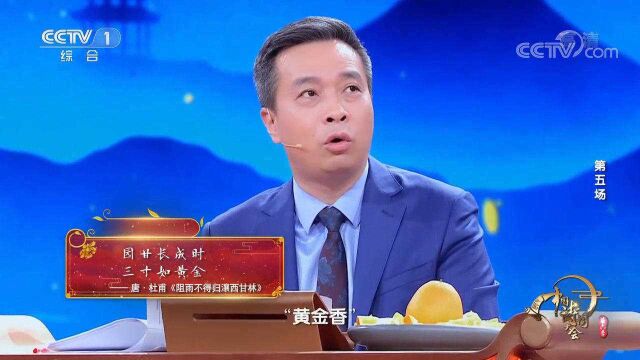 给奉节的橙园起名字,康震起名叫“黄金香”,来看