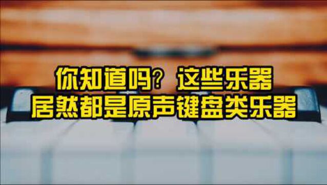 你知道吗?这些乐器,居然都是原声键盘类乐器!