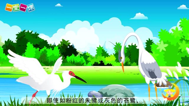 五年级上册《白鹭》小学语文同步精品课文动画,预习教辅视频,学习好帮手!(一堂一课APP出品)