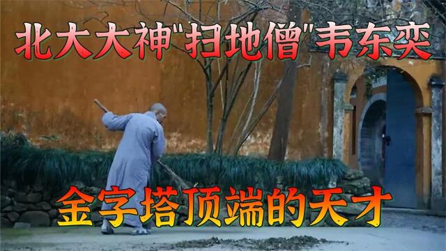 走红网络的北大“扫地僧”韦东奕,金字塔顶端的天才是如何炼成?纪录片