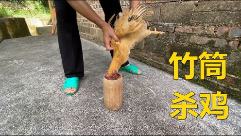 江西农村用竹筒杀鸡，方法独特很多人没见过，拍给大家看一下