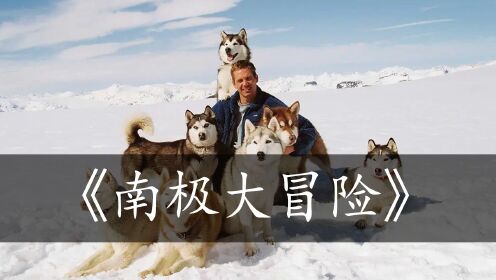南极大冒险：狗狗救了主人却被抛弃在原地，在南极生存175天，让人感动不已