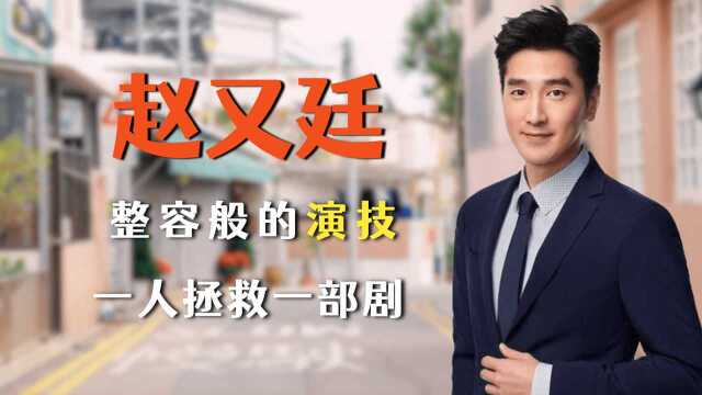 赵又廷获封“整容般的演技”,一人之力拯救一部剧