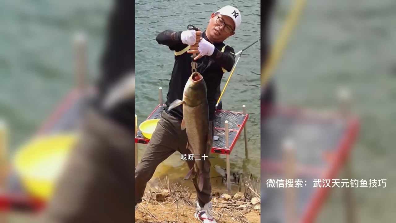 武汉天元邓刚钓巨鲢
