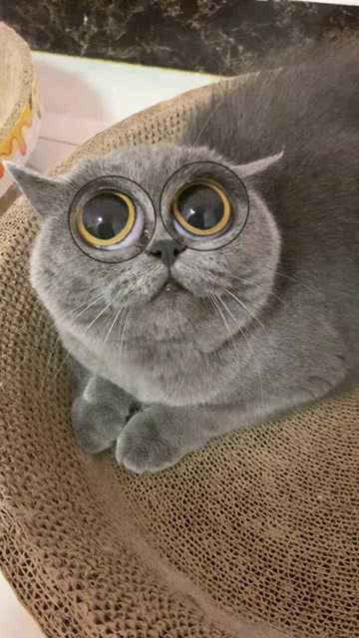 眼睛瞪得像铜铃