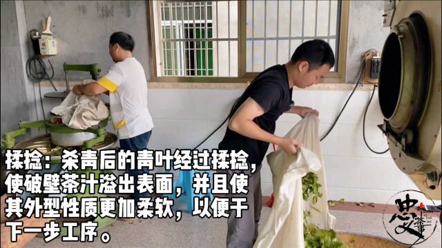 实拍制茶|福建漳平水仙制茶全流程,第三集