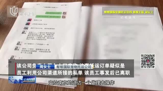 空运变陆运 金毛托运中暑死亡谁之责? 托运公司:疑为员工接私单后换车