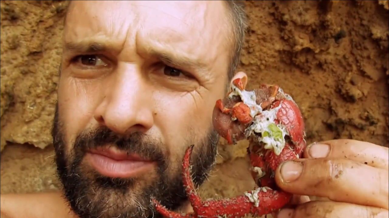 《荒岛余生》:德爷挑战无人荒岛60天,结果搭个帐篷就花了15天