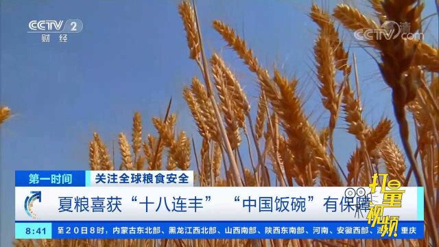 我国夏粮喜获“十八连丰”,“中国饭碗”有保障