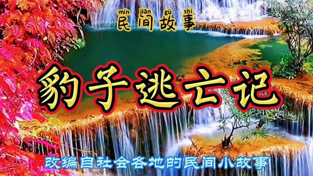 民间故事:豹子从动物园逃跑了,为了抓住他,人们煞费苦心