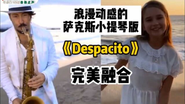 浪漫动感的萨克斯&小提琴版《Despacito》完美融合!!