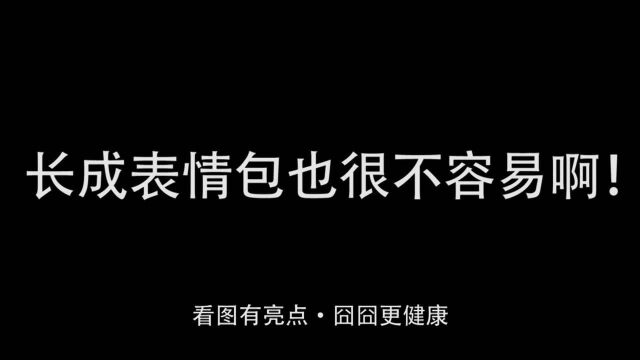 开始以为这猫长大后会好看结果……长成表情包也很不容易啊!