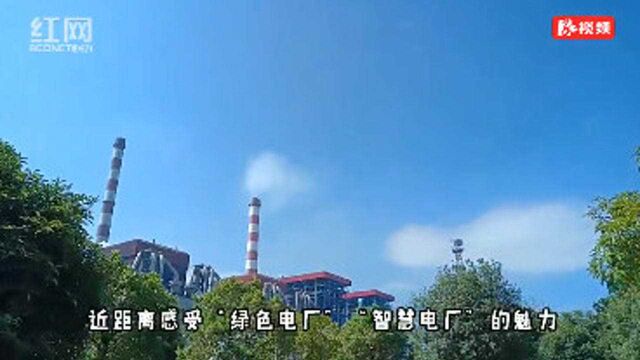 感受“绿色电厂”的魅力 大唐华银电力企业开放日活动在湘潭举行