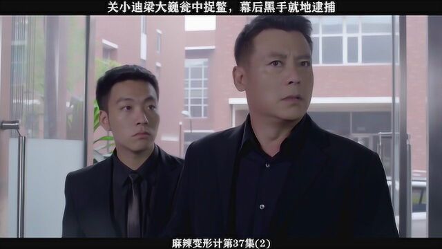 麻辣变形计第37集(2):关小迪梁大巍瓮中捉鳖,幕后黑手就地逮捕