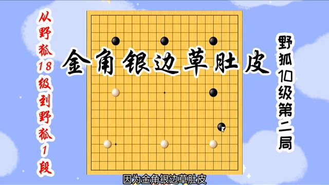 【从野狐18级到野狐1段】10级第二局 金角银边草肚皮