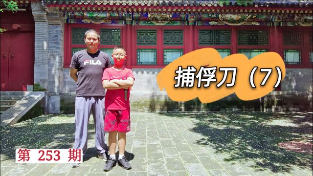 特警教官:捕俘刀第七式 换刀下刺